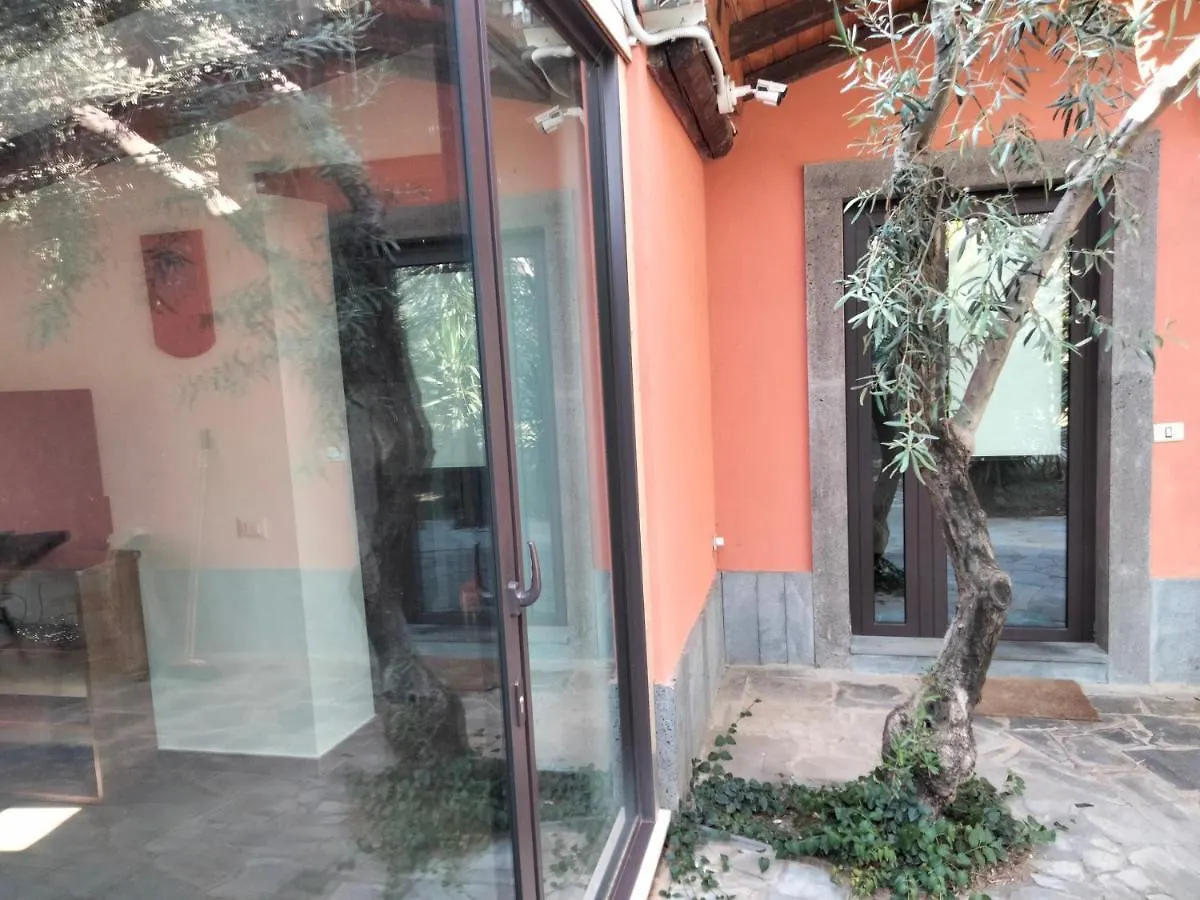 Cuntarati Nature Tourism - Simeto Etna Bronte