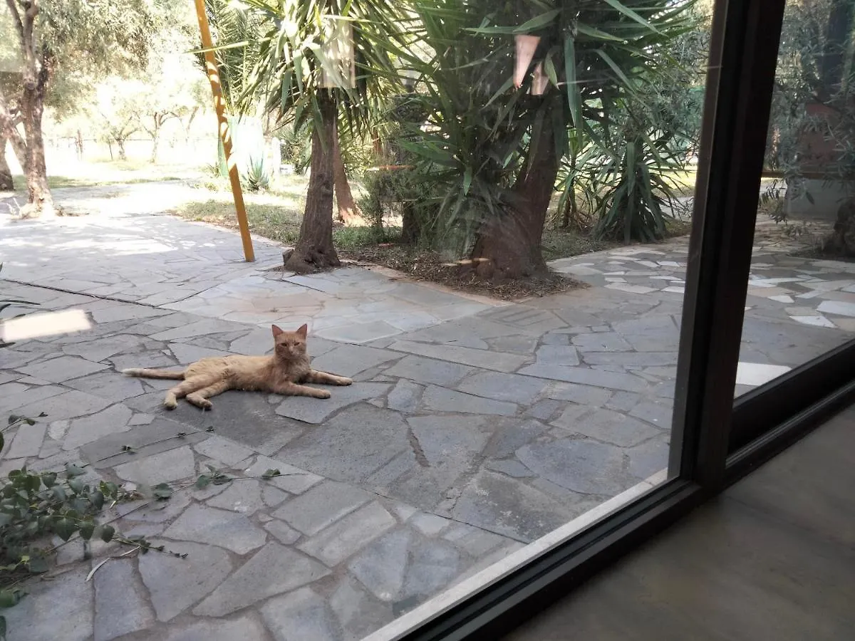Holiday home Cuntarati Nature Tourism - Simeto Etna Bronte